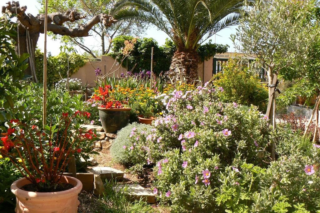 L' Escale Tranquille Bed & Breakfast Sete Bagian luar foto