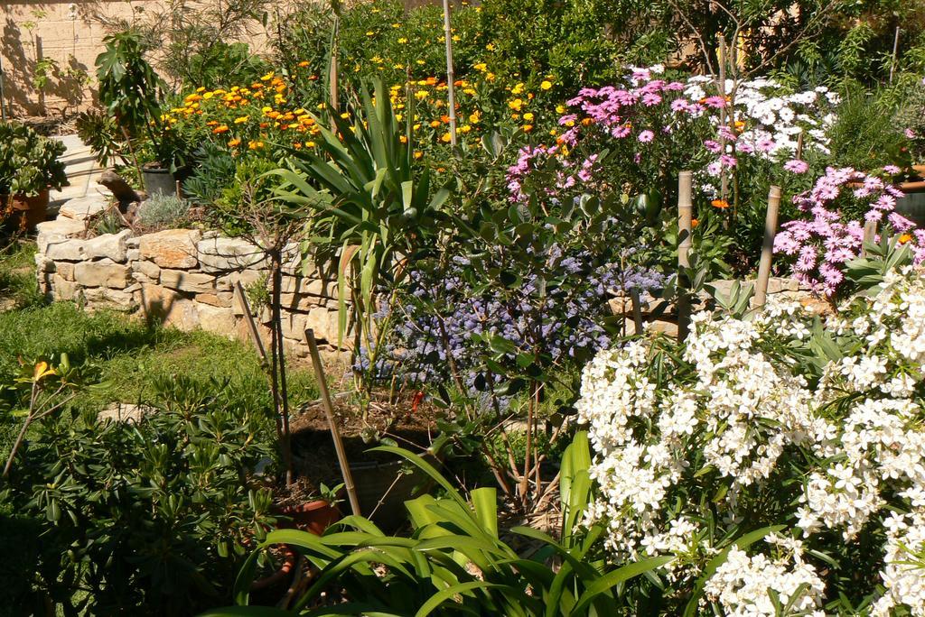L' Escale Tranquille Bed & Breakfast Sete Bagian luar foto